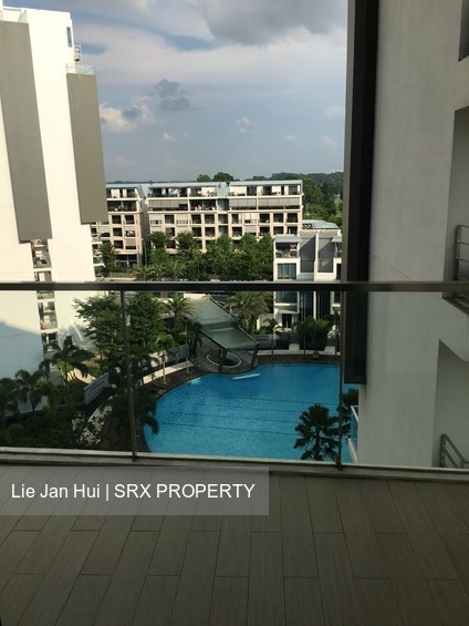 Skies Miltonia thumbnail photo